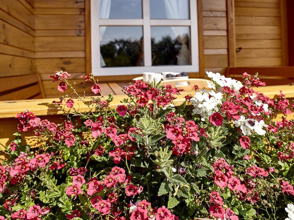 Holiday Homes Vita Natura Rakovica Kültér fotó