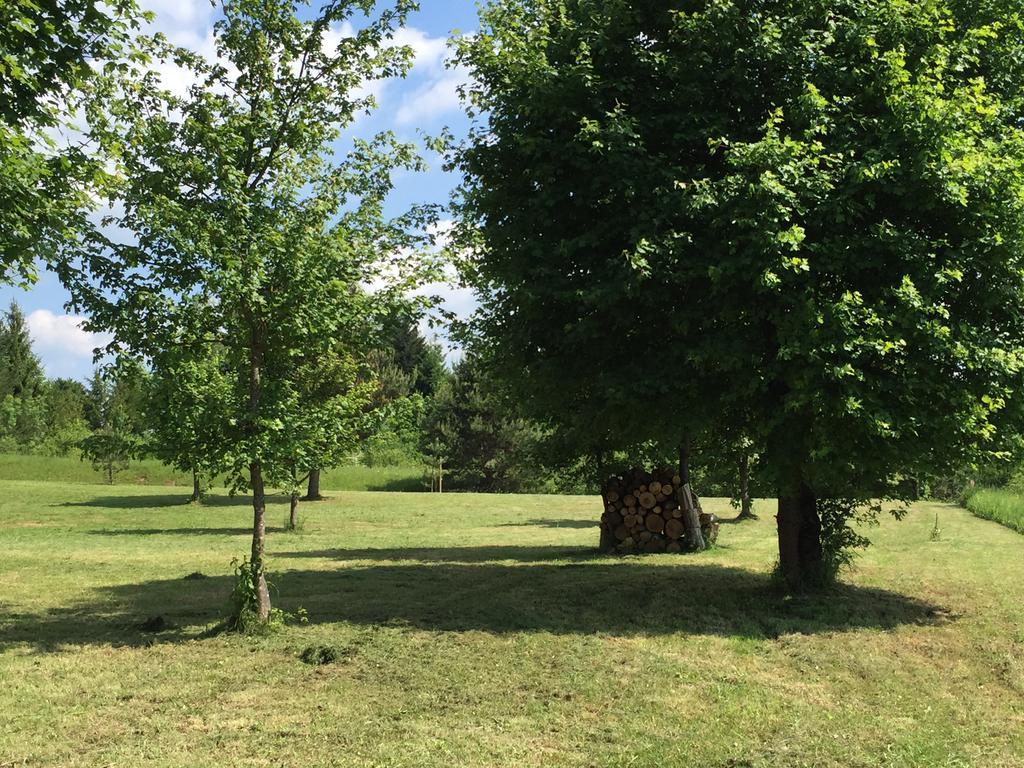 Holiday Homes Vita Natura Rakovica Kültér fotó
